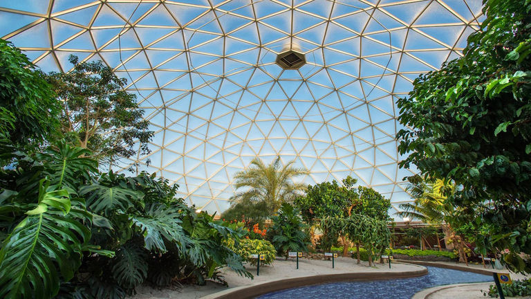 Disney Planet Possible-PHOTO